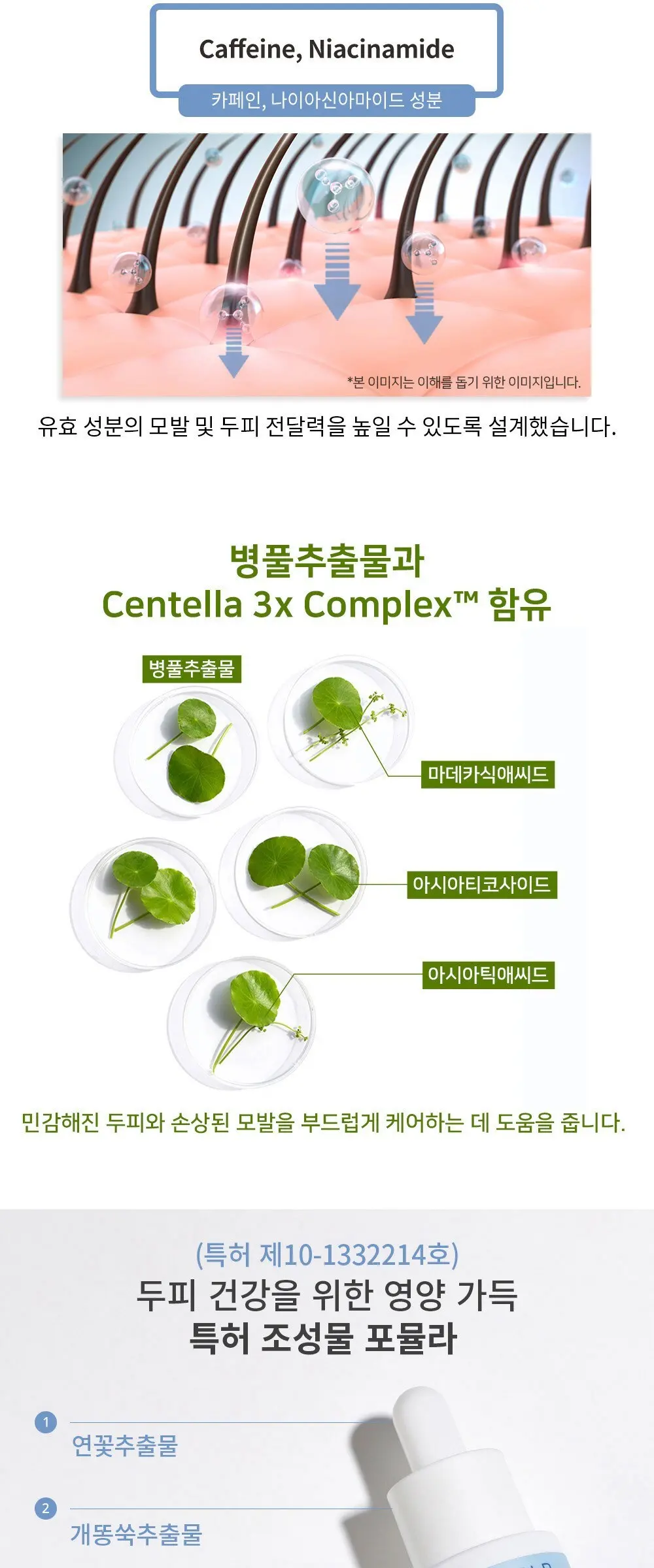 APLB 데일리 솔루션 스칼프 세럼, 1개, 40ml Detail