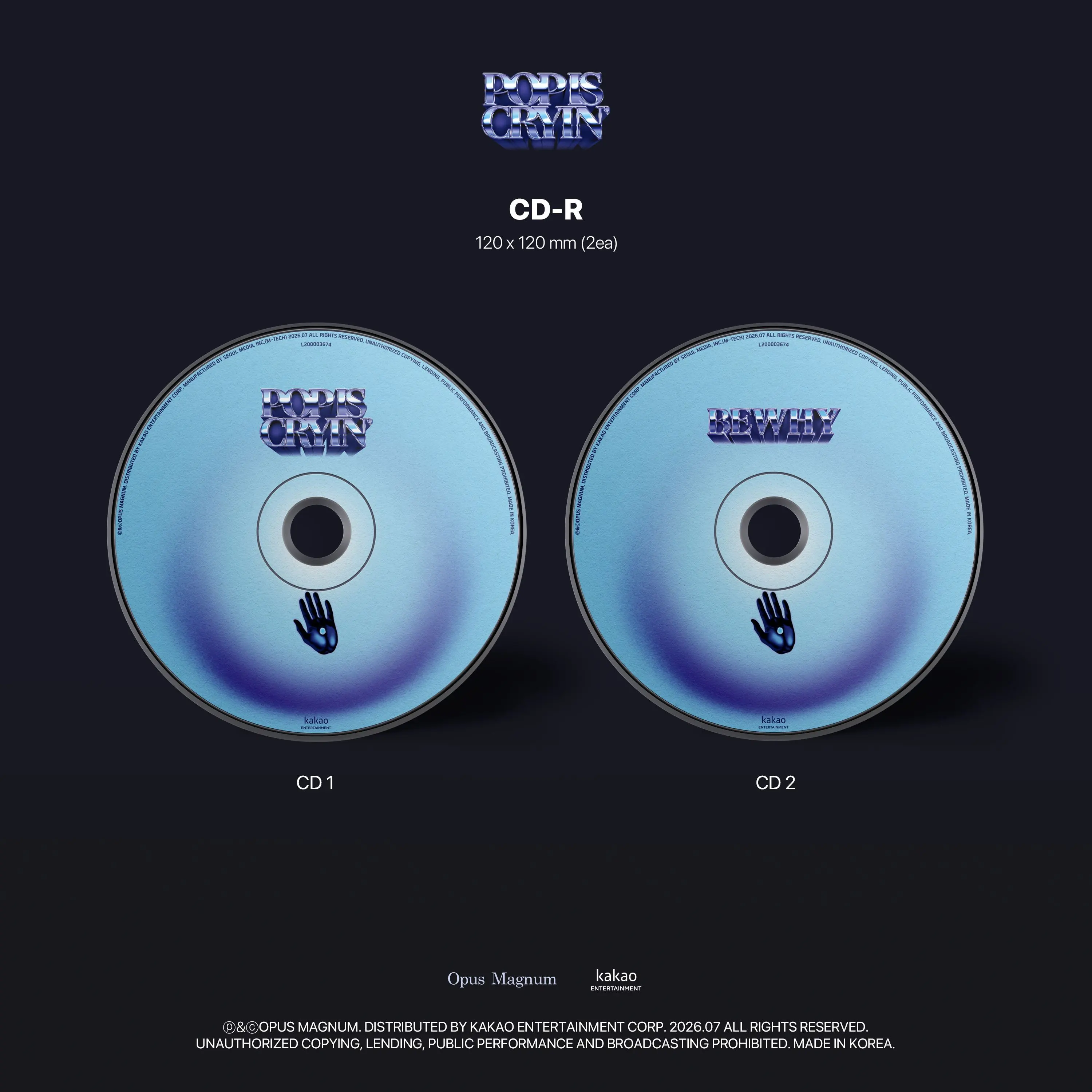 비와이 (BewhY) - POP IS CRYIN' Detail