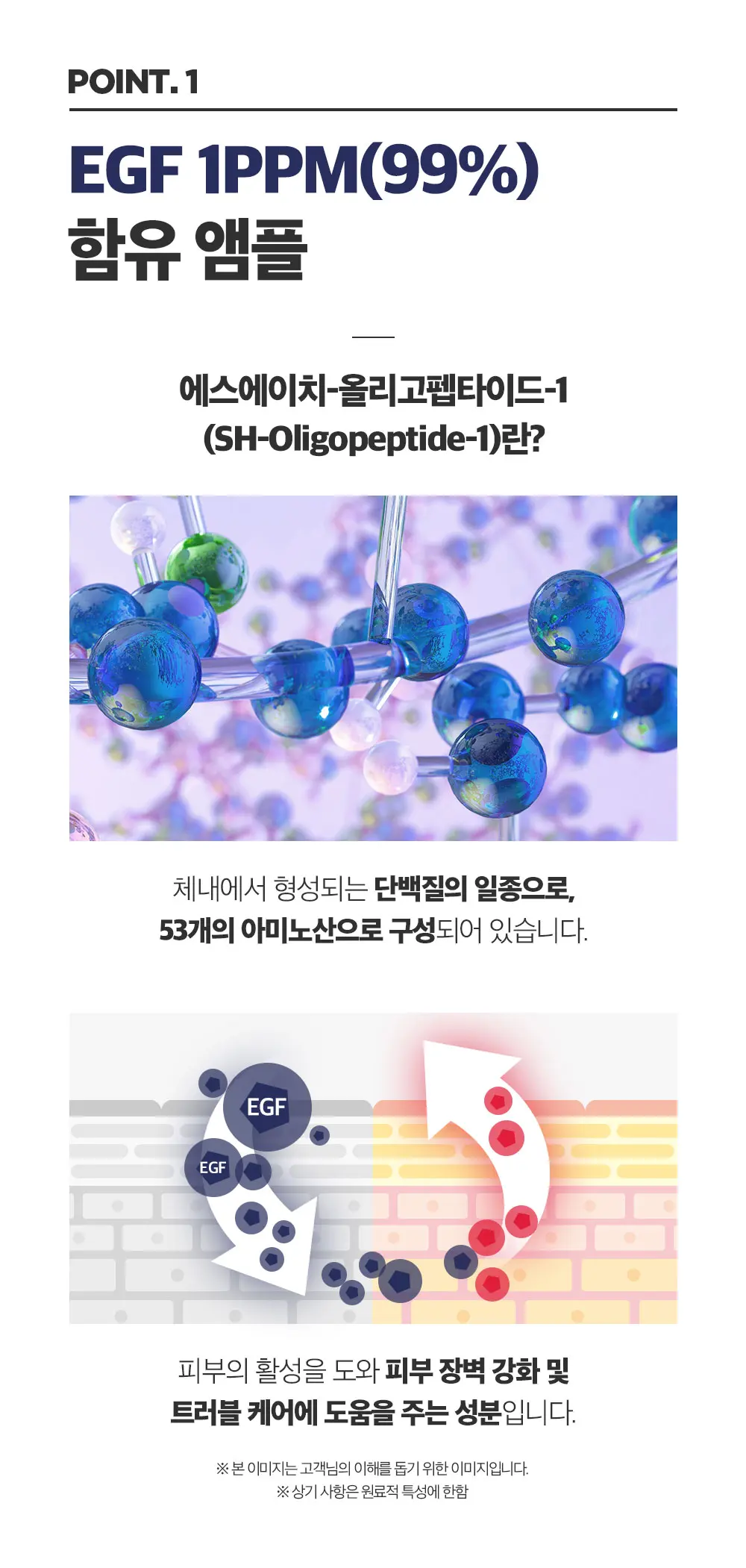EGF 1ppm 오리지널 앰플 40ml Detail
