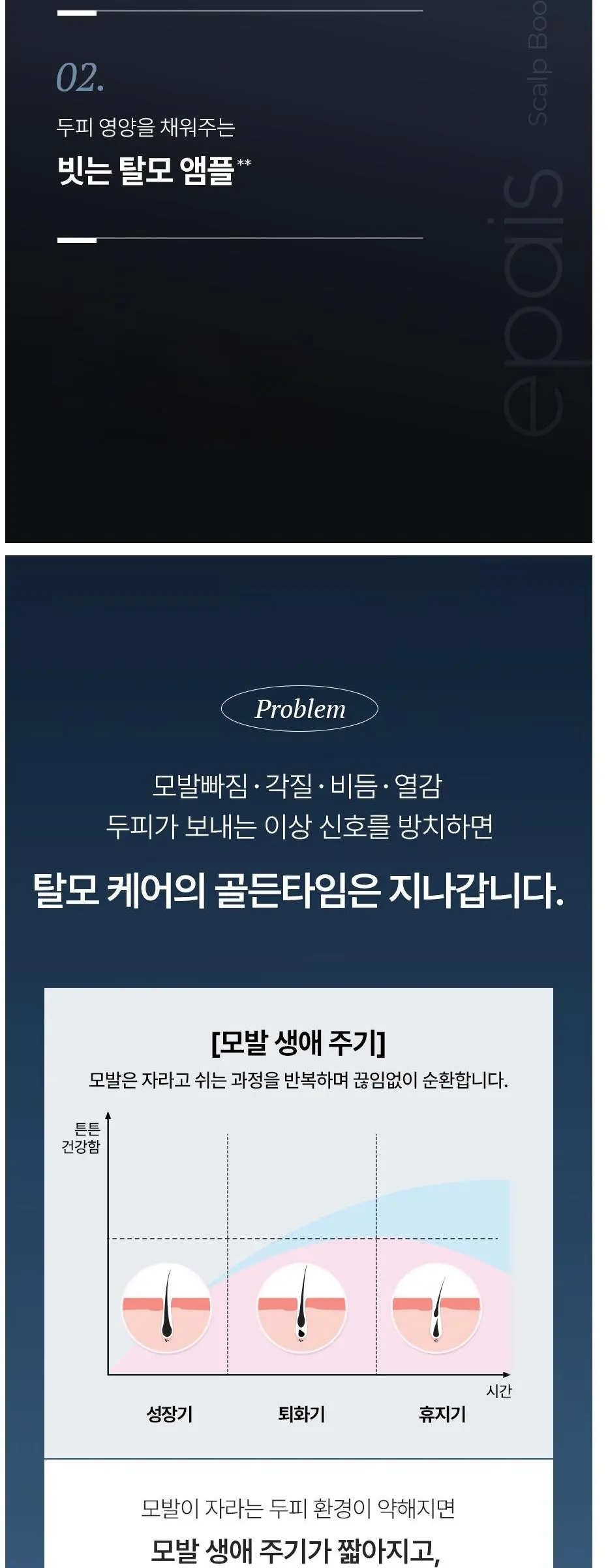 에이페 스칼프 부스팅 앰플 EX, 1개, 150ml Detail