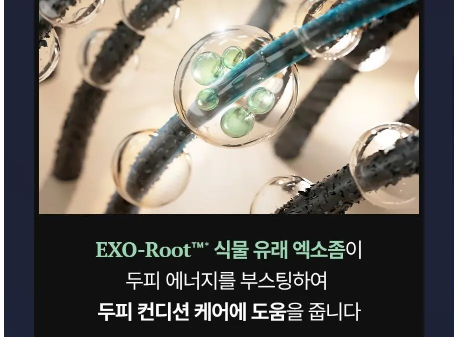에이페 스칼프 부스팅 앰플 EX, 1개, 150ml Detail