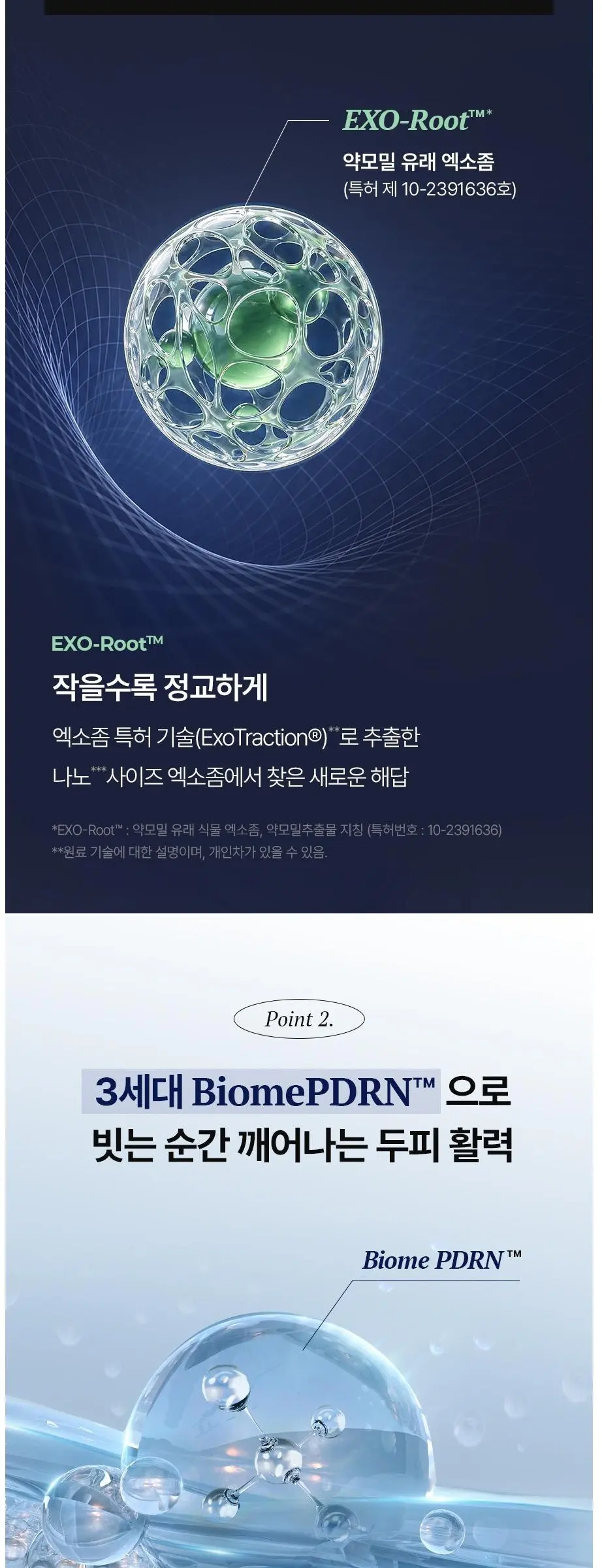에이페 스칼프 부스팅 앰플 EX, 1개, 150ml Detail