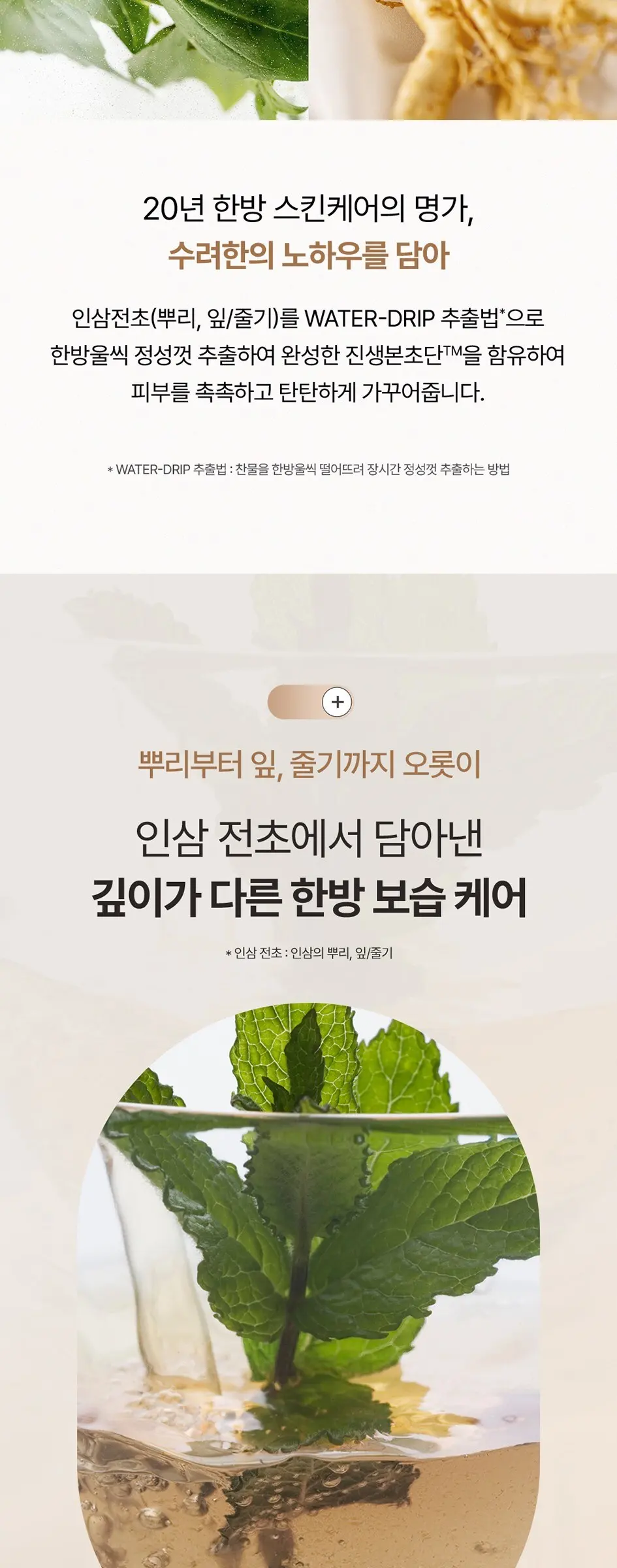 LG생활건강 수려한 본 탄력 크림, 75ml, 1개 Detail