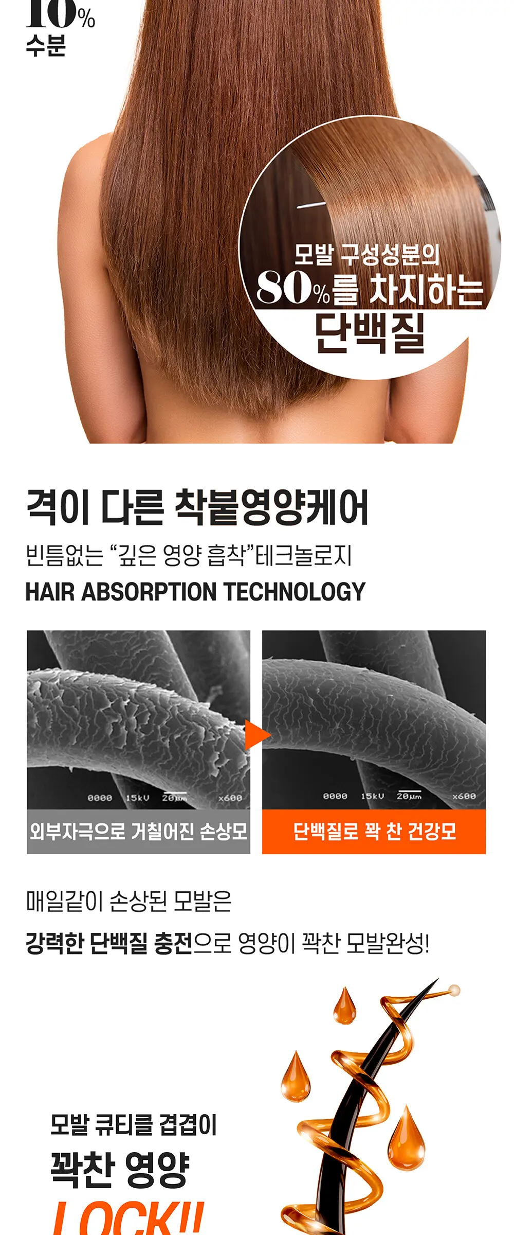 LPP 단백질 헤어 에센스 오일 105ml Detail