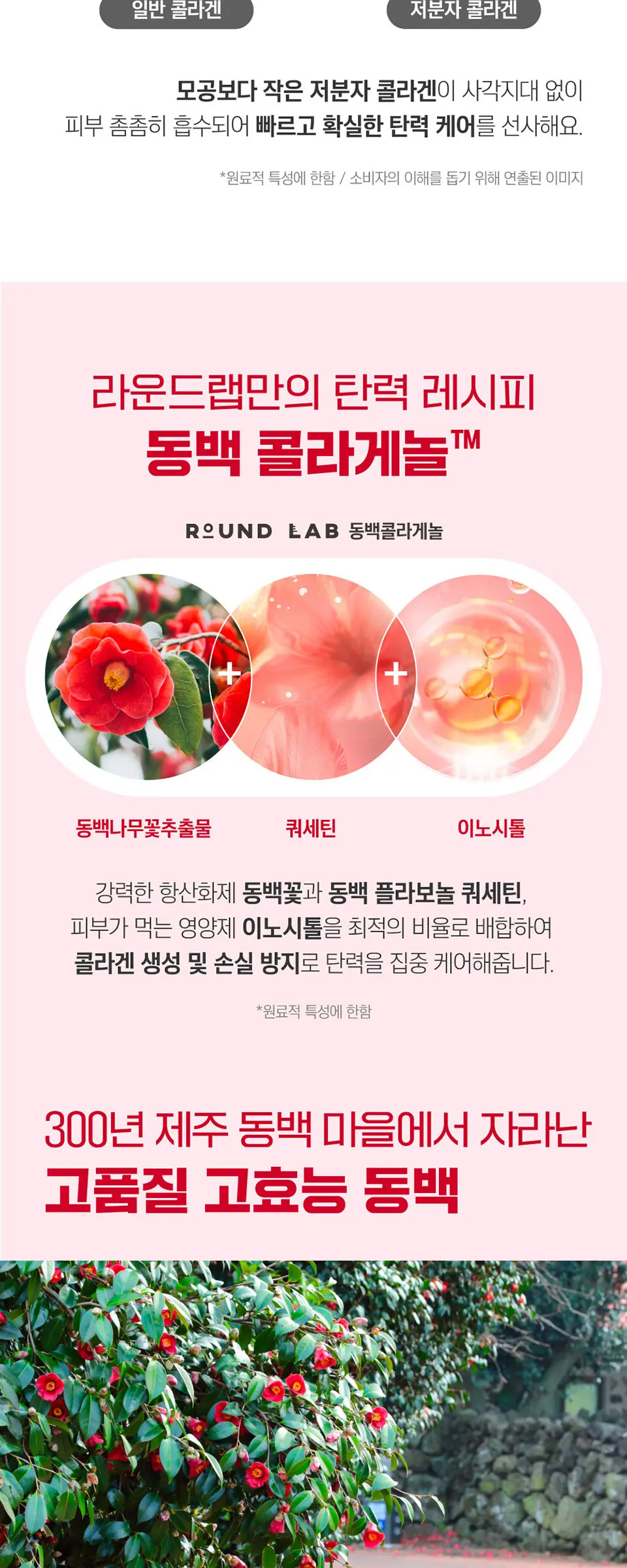동백 딥 콜라겐 PDRN 밀키 토너 150ml Detail
