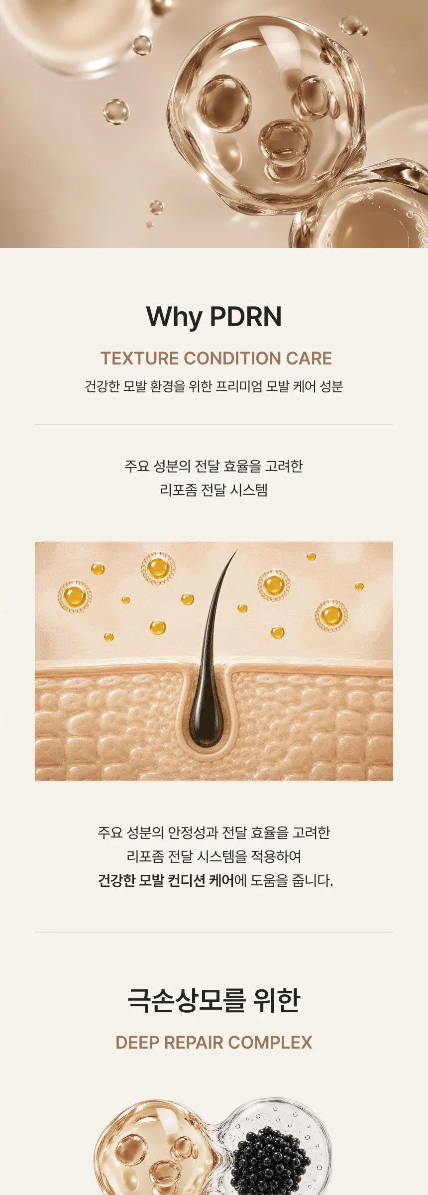 드 아티장 블랙캐비어 PDRN 딥 리페어 트리트먼트 200ml Detail