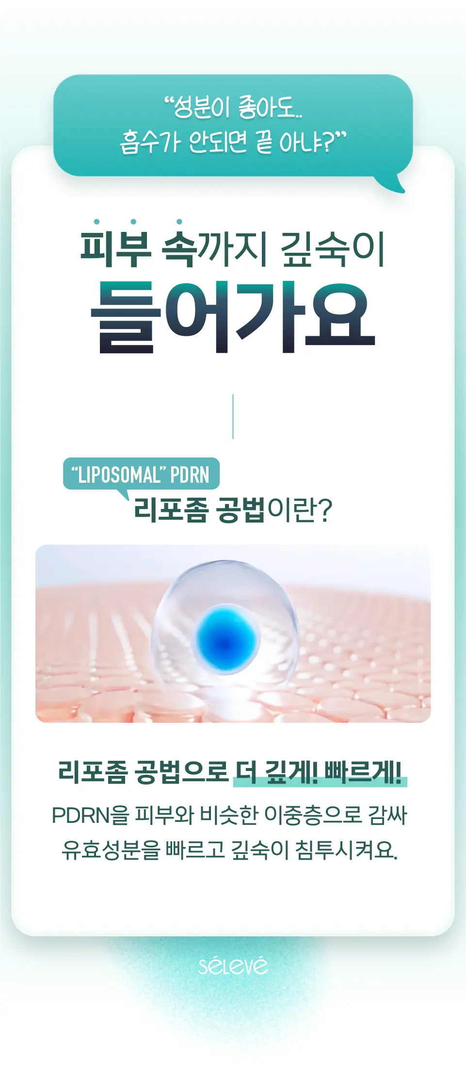 셀레베 글로우 캐비어 PDRN 선크림 Detail