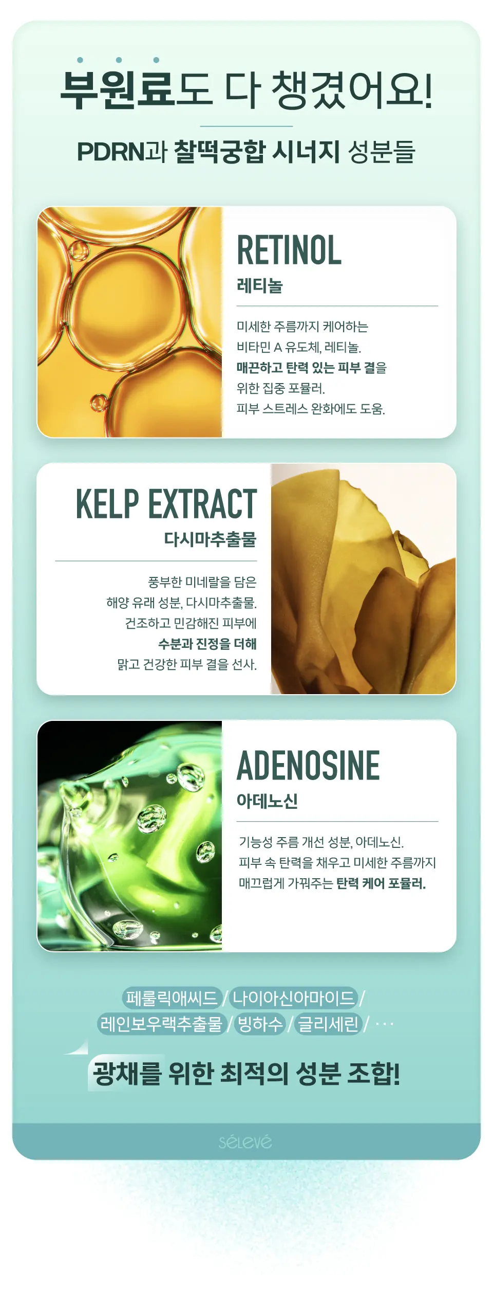 셀레베 글로우 캐비어 PDRN 선크림 Detail
