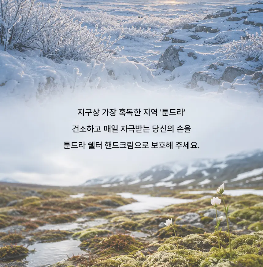 툰드라 쉘터 핸드크림 Detail