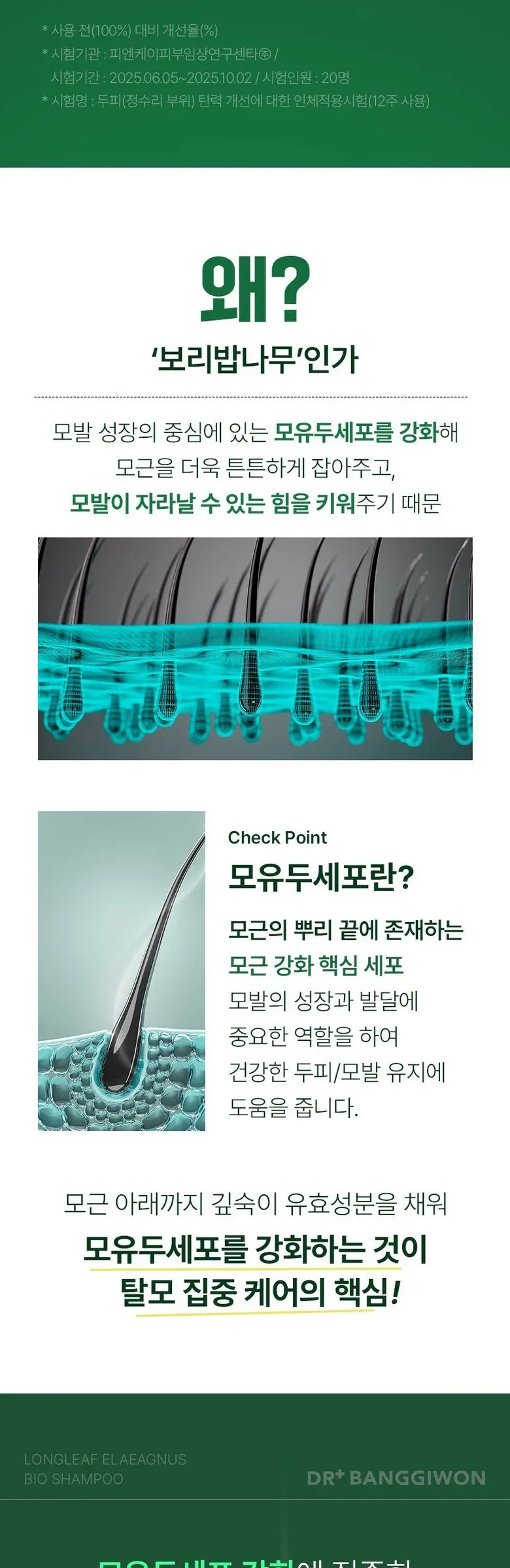 닥터방기원 국가기관임상완료 탈모특허 보리밥나무 바이오 기능성 탈모 샴푸, 1개, 1L Detail