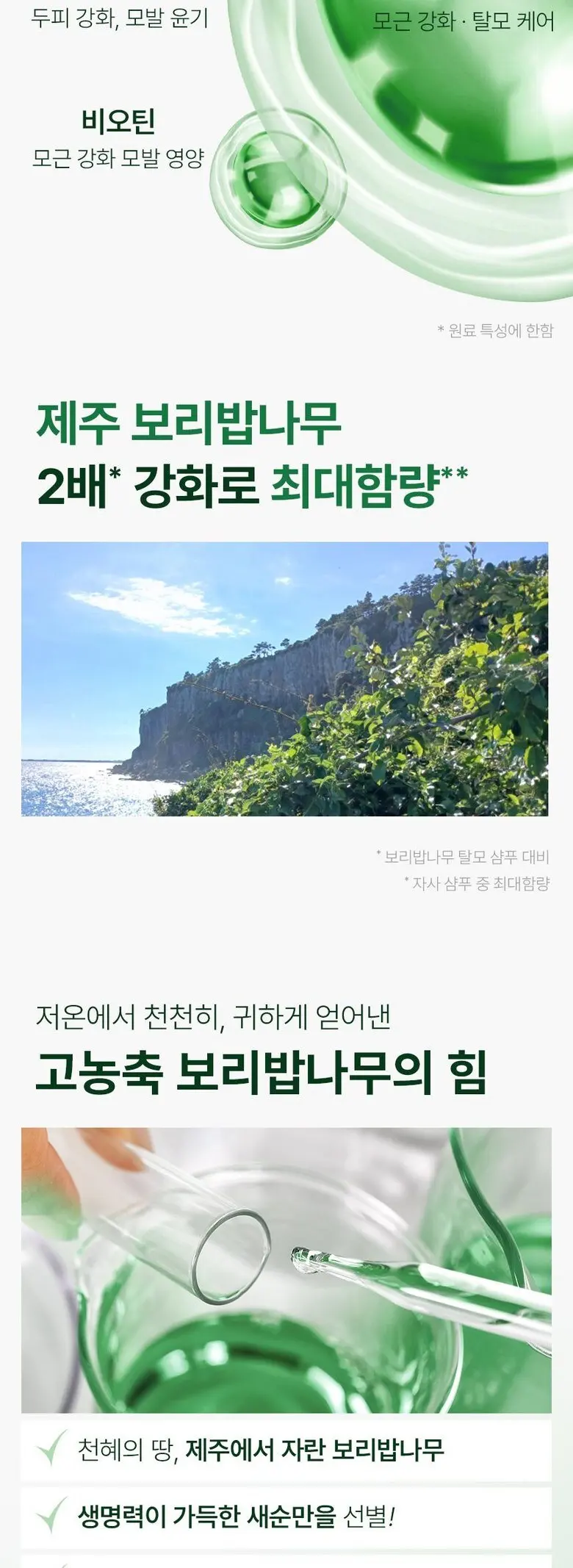 닥터방기원 국가기관임상완료 탈모특허 보리밥나무 바이오 기능성 탈모 샴푸, 1개, 1L Detail