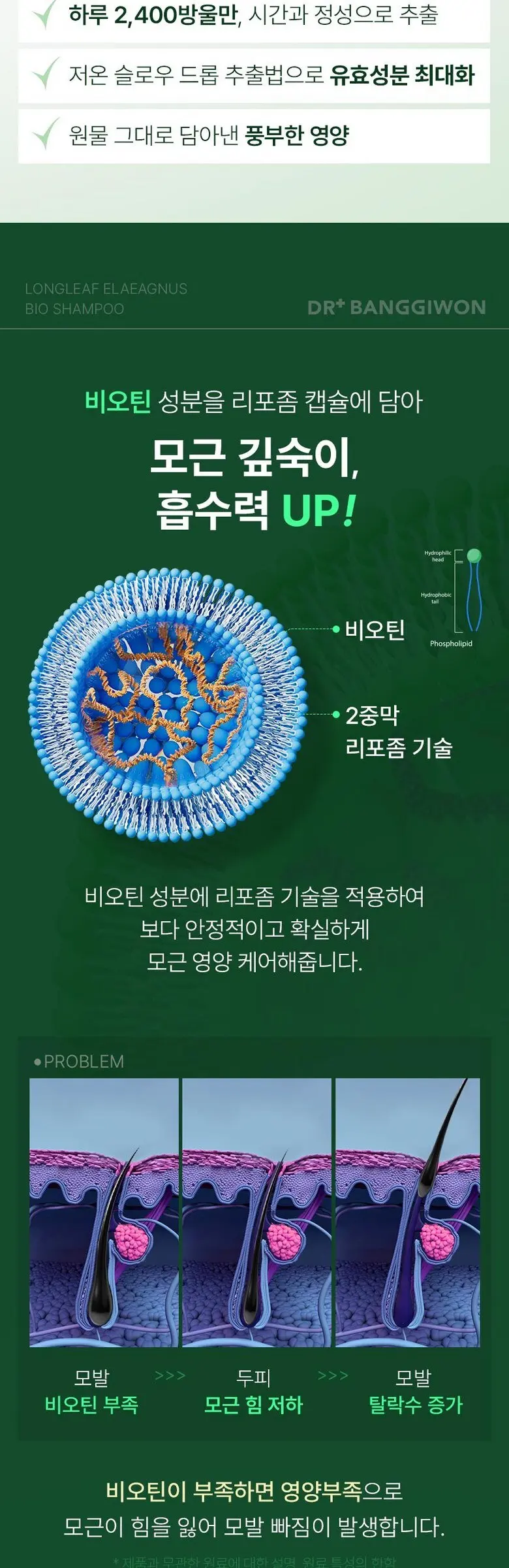 닥터방기원 국가기관임상완료 탈모특허 보리밥나무 바이오 기능성 탈모 샴푸, 1개, 1L Detail
