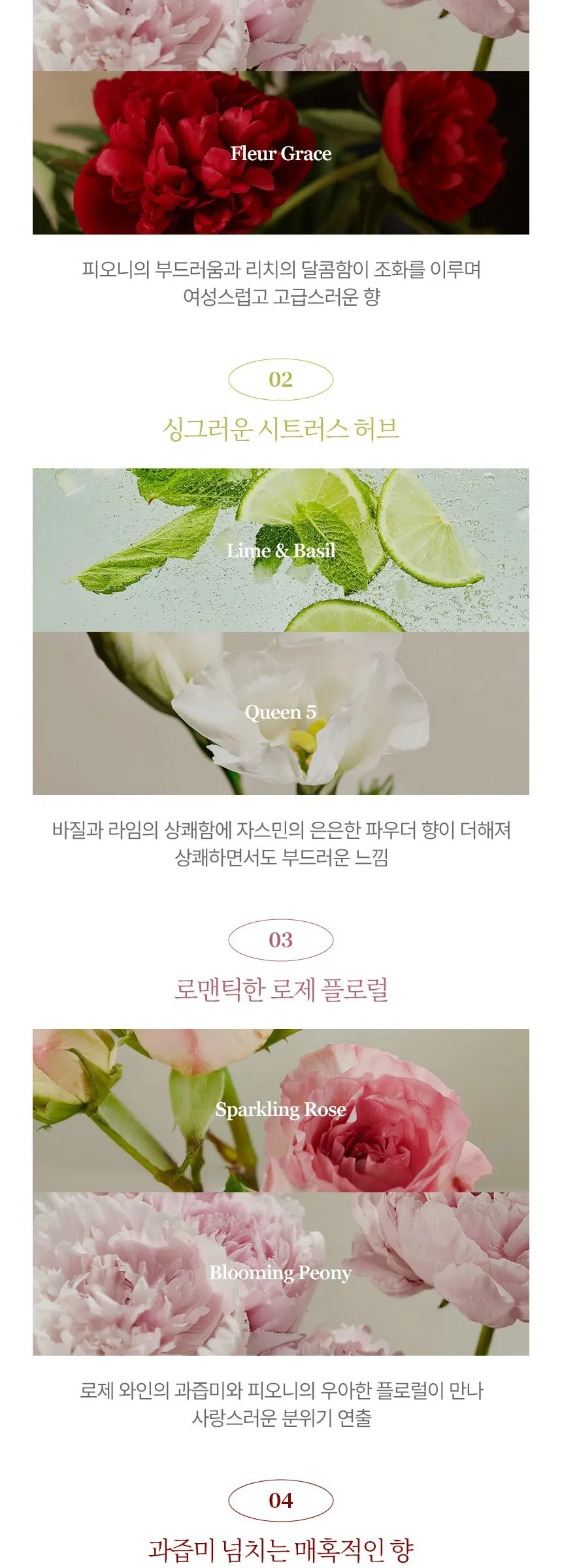제이멜라 인 프랑스 블루밍 피오니 바디 로션 러블리 플로럴향, 500ml, 1개 Detail