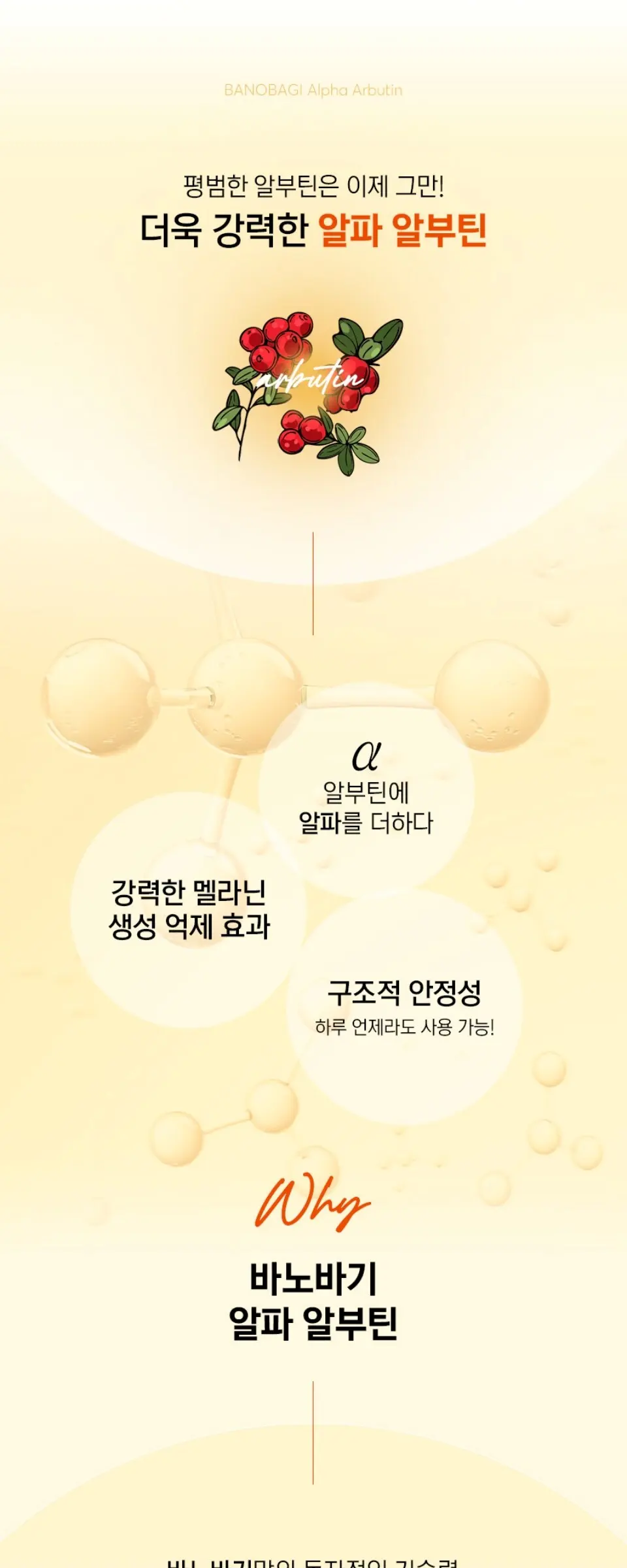 알파래디언스 마일드 필링폼 Detail