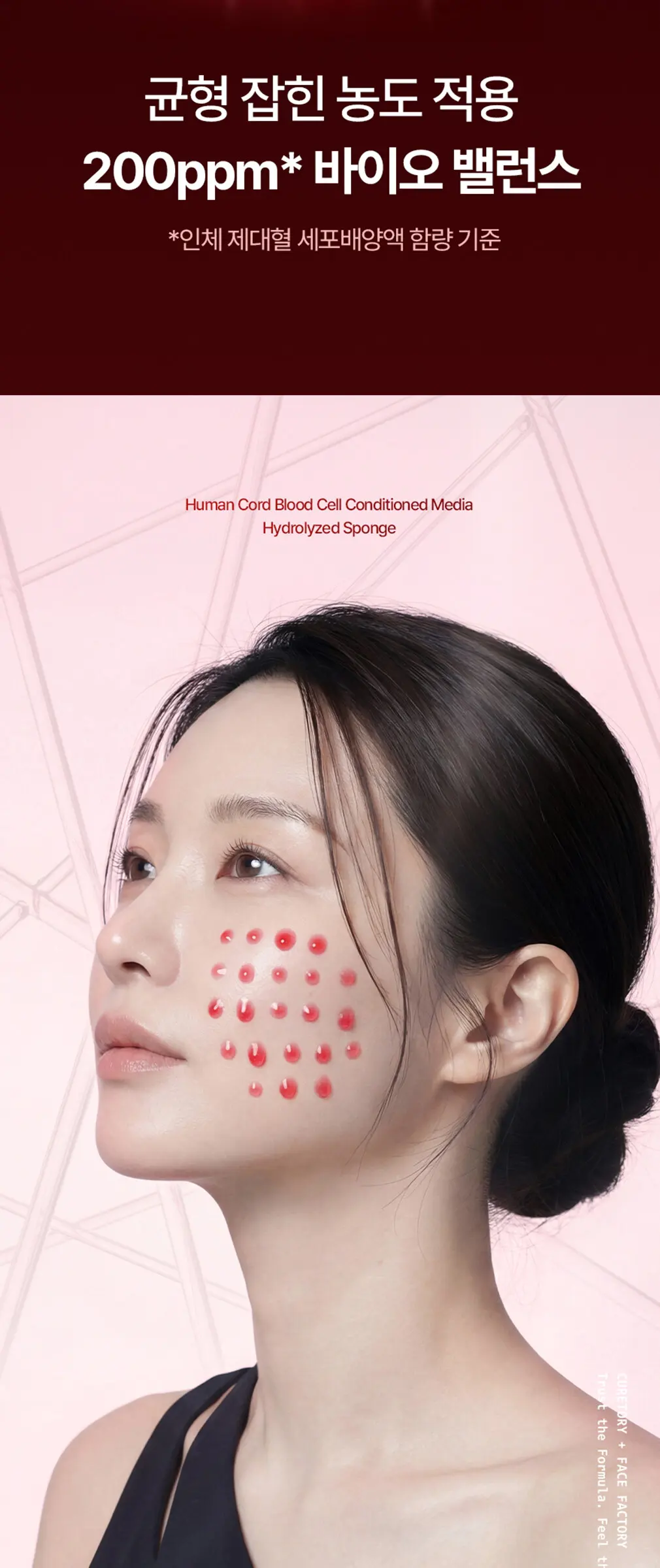 큐어토리 자가큘 줄기세포 주름앰플 탄력 리프팅 안티에이징 세럼 15ml Detail