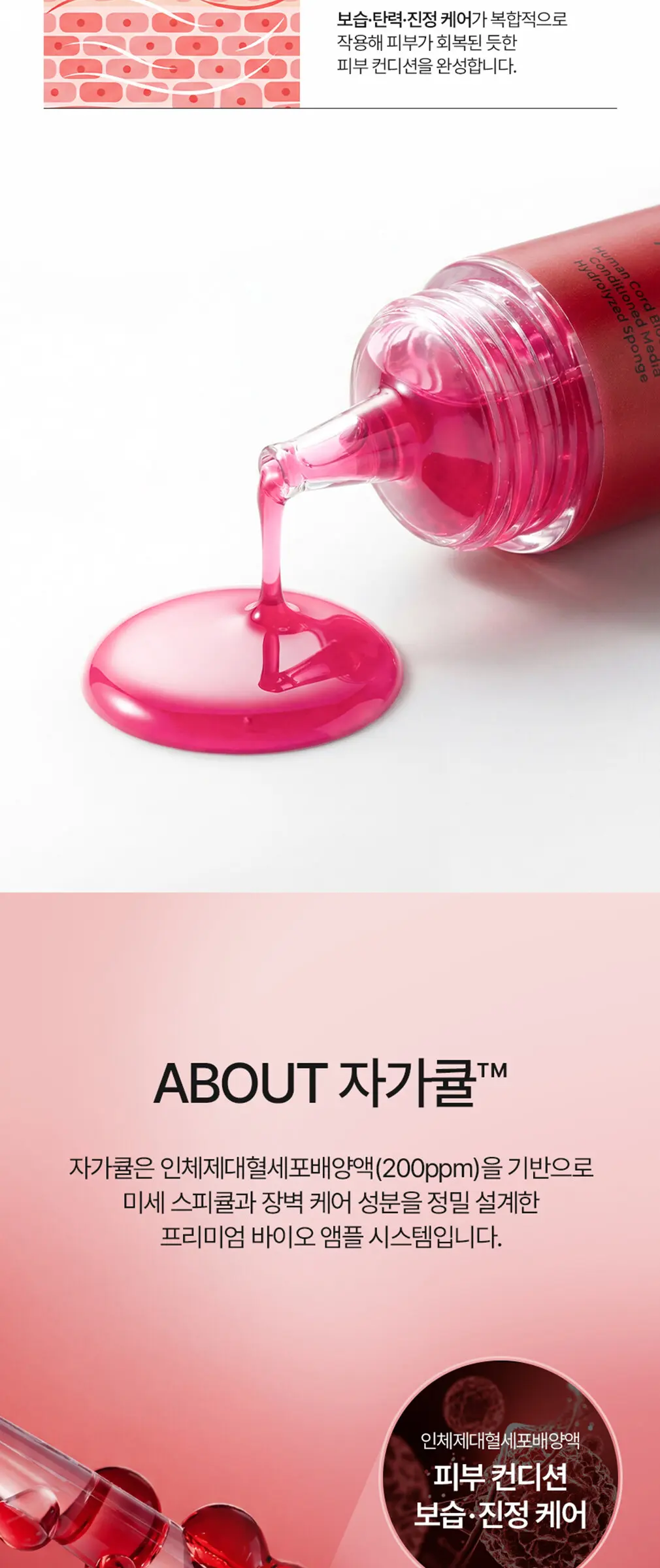 큐어토리 자가큘 줄기세포 주름앰플 탄력 리프팅 안티에이징 세럼 15ml Detail
