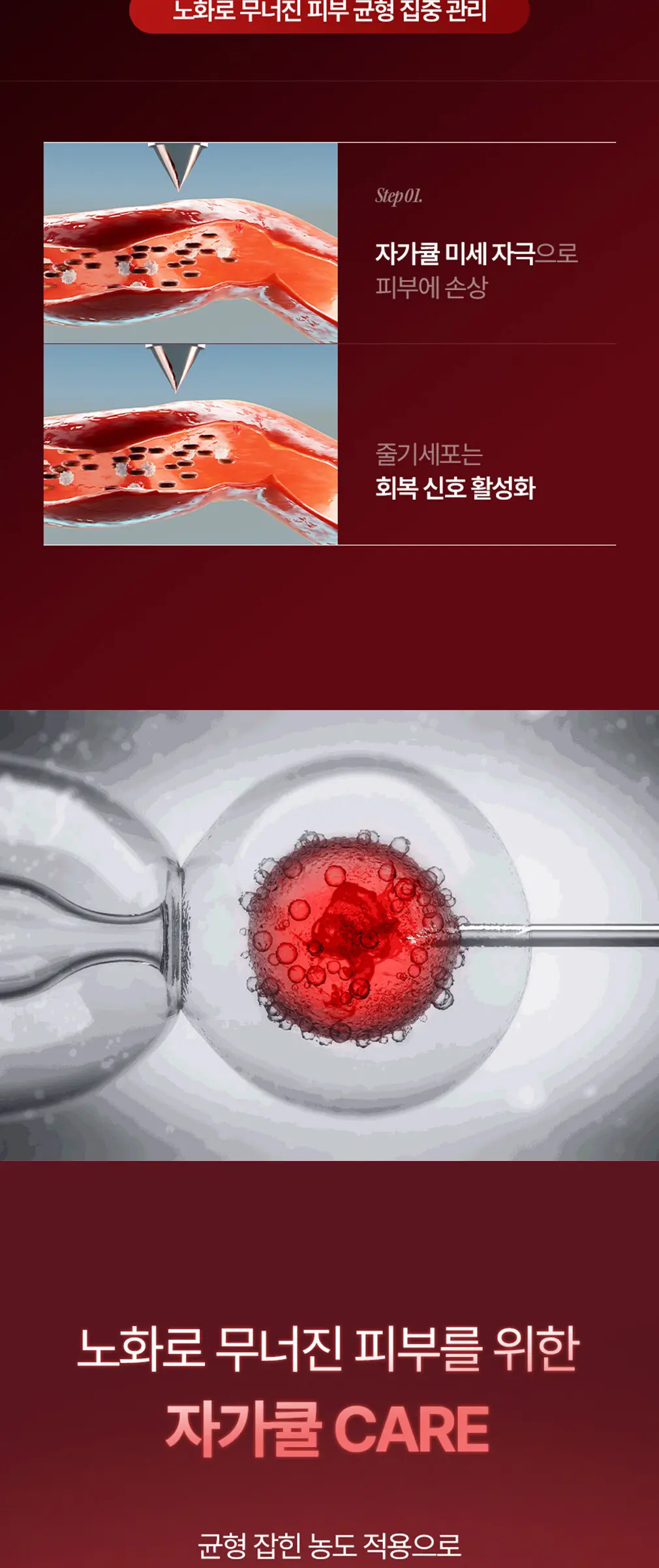 큐어토리 자가큘 줄기세포 주름앰플 탄력 리프팅 안티에이징 세럼 15ml Detail