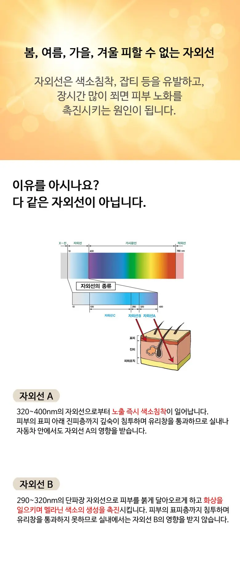 인타 티피 TP 선크림 (SPF50+ PA+++), 1개, 60ml Detail