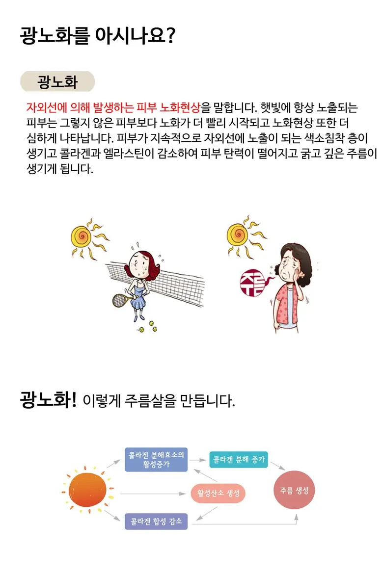 인타 티피 TP 선크림 (SPF50+ PA+++), 1개, 60ml Detail