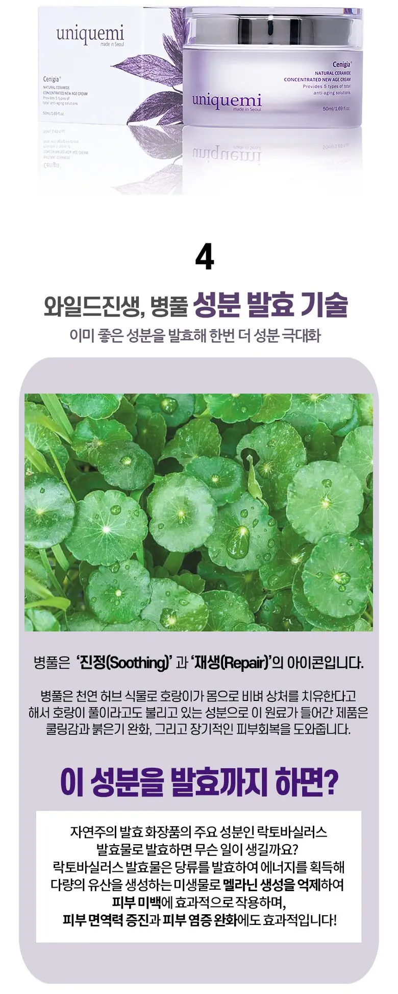 [UniqueMi] 세니지아 천연세라마이드 주름개선&미백 크림 50ml Detail