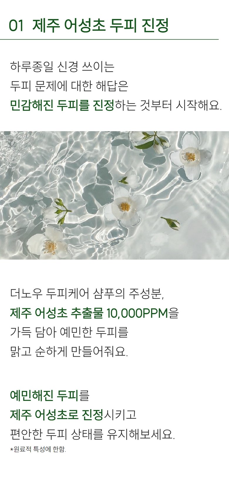 THE KNOW Shampoo Detail 6